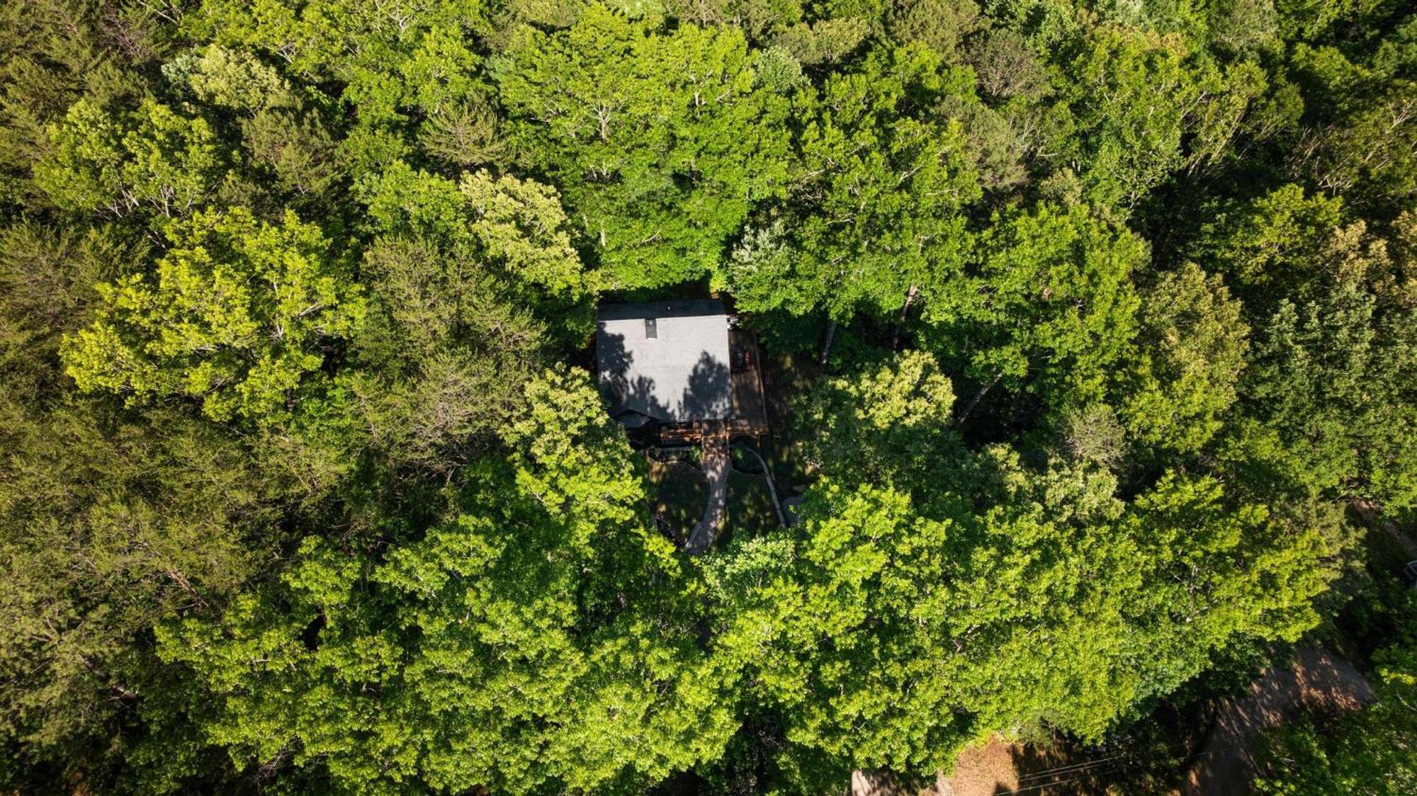 Serene Mountain And Sunset Views 3Bd Cabin Franklin Buitenkant foto